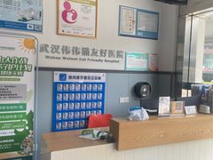 -伟伟宠物医院·瑞派猫友好医院·猫科(光谷店)