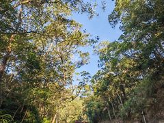 -梧桐山风景名胜区