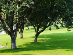 -重庆中央公园(渝北区)