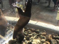 -哈尔滨波塞冬海底世界