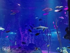 -沈阳海洋探索中心