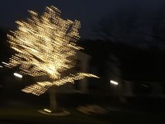 -青花餐厅(雅谷泉山庄酒店)