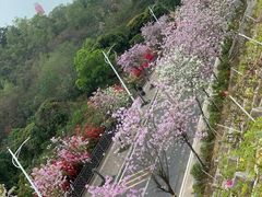 -小南山公园