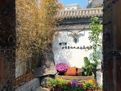 -慢丽江·云南野生菌土鸡锅(付家庄店)