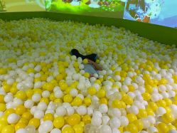 -宝燕乐园(闵行旗舰店)