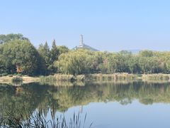 -北坞公园
