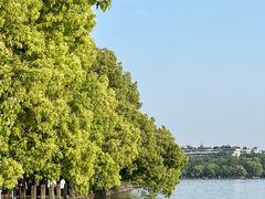 -中原一大碗(湖滨店)