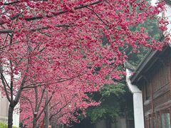 -乌山风景区