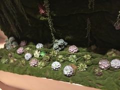 -杭州龙禧福朋喜来登酒店