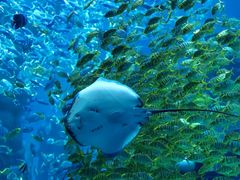 -波塞冬旅游度假区