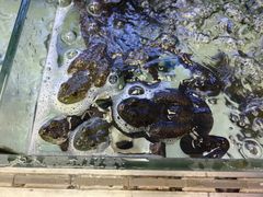 -盒马鲜生(大成店)