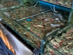 -赶海部落海鲜城(海阳路店)