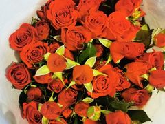 -治愈系甜品The Soothing Dessert(科海大楼店)