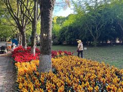 -上海鲜花港