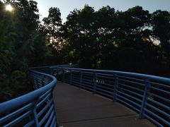 -玉树公园