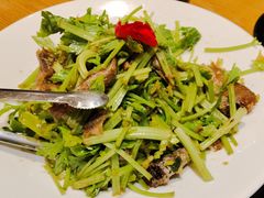 -海派美食·家宴海鲜青岛菜·石锅鲽鱼头(东方城店)