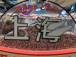 -乐高品牌旗舰店(人民广场店)