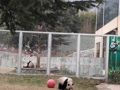 -西安秦岭野生动物园