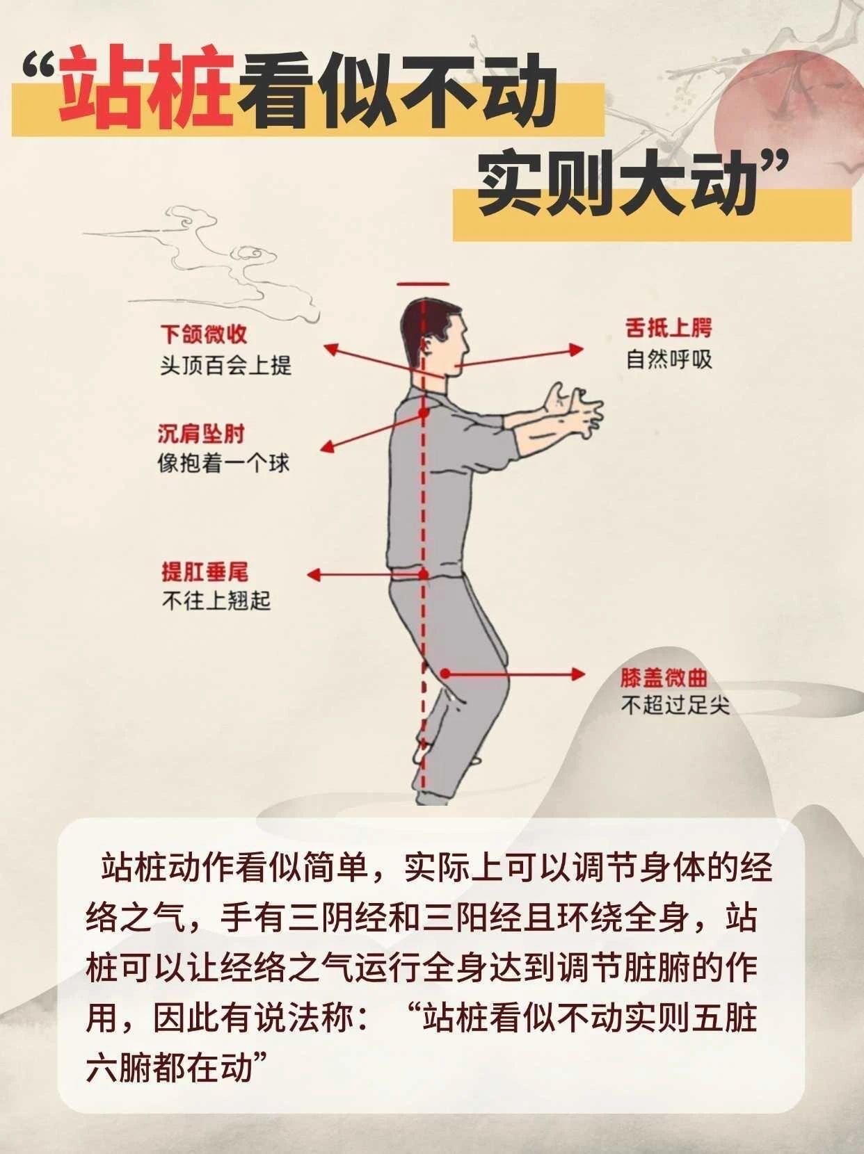 跟着中毉学站桩两个月,我果断放弃健身了