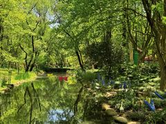 -上海共青森林公园