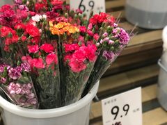 -鹿岛会员店 (龙湖三千集天街店)