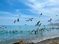 -青海湖国家重点风景名胜区