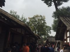 -秀丽东方
