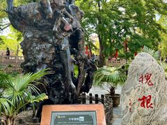 -大槐树寻根祭祖园