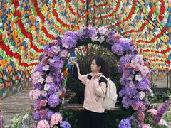 -龙湾潭国家森林公园