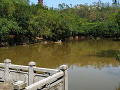 -大雁山风景区