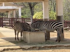 -石家庄市动物园