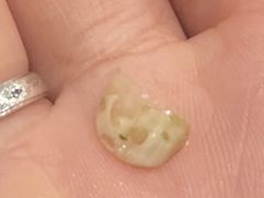 -日月永和中国餐饮名店(凤凰店)