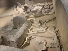 -洛阳周王城天子驾六博物馆