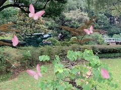 -申粤轩酒楼·三十年粤菜经典(丁香花园店)