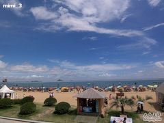 -碧海金沙