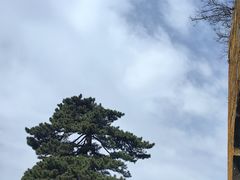 -武当山风景区