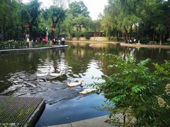 -西安市长乐公园