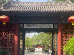 -大槐树寻根祭祖园