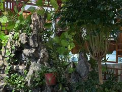 -津沽小院(天津之眼店)