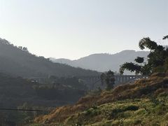 -肯得利(景缘居店)