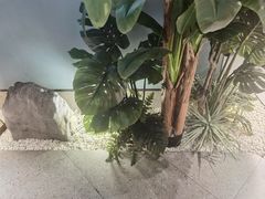 -渝乡辣婆婆·川菜 水煮鱼(安平店)