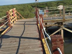 -北海金海湾红树林生态旅游区