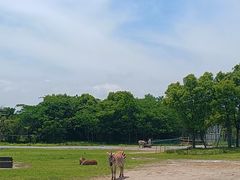 -宁波杭州湾国家湿地公园