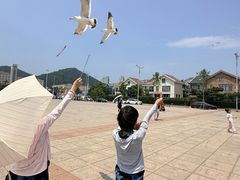 -黑石礁公园