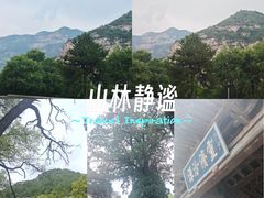 -窦大夫祠