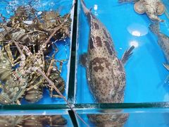 -万尾金滩