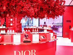 -Dior迪奥(上海世茂广场店)