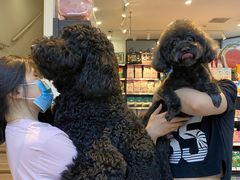 -萌兽医馆·眼科·异宠专科(三里屯店)