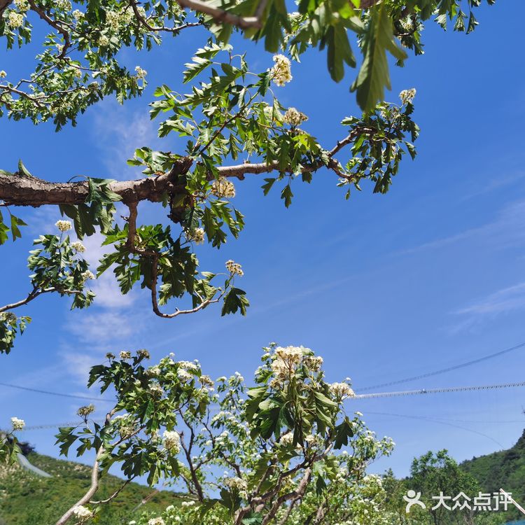 蓟州溶洞风景区不虚此行~