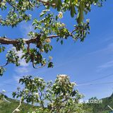 蓟州溶洞风景区不虚此行～